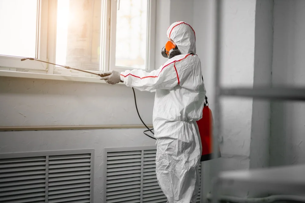Professional mold remediation services in East Brunswick, NJ